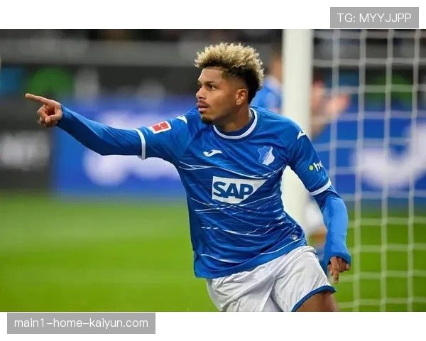 霍芬海姆积分紧追前五 克拉马里奇点球绝杀多特